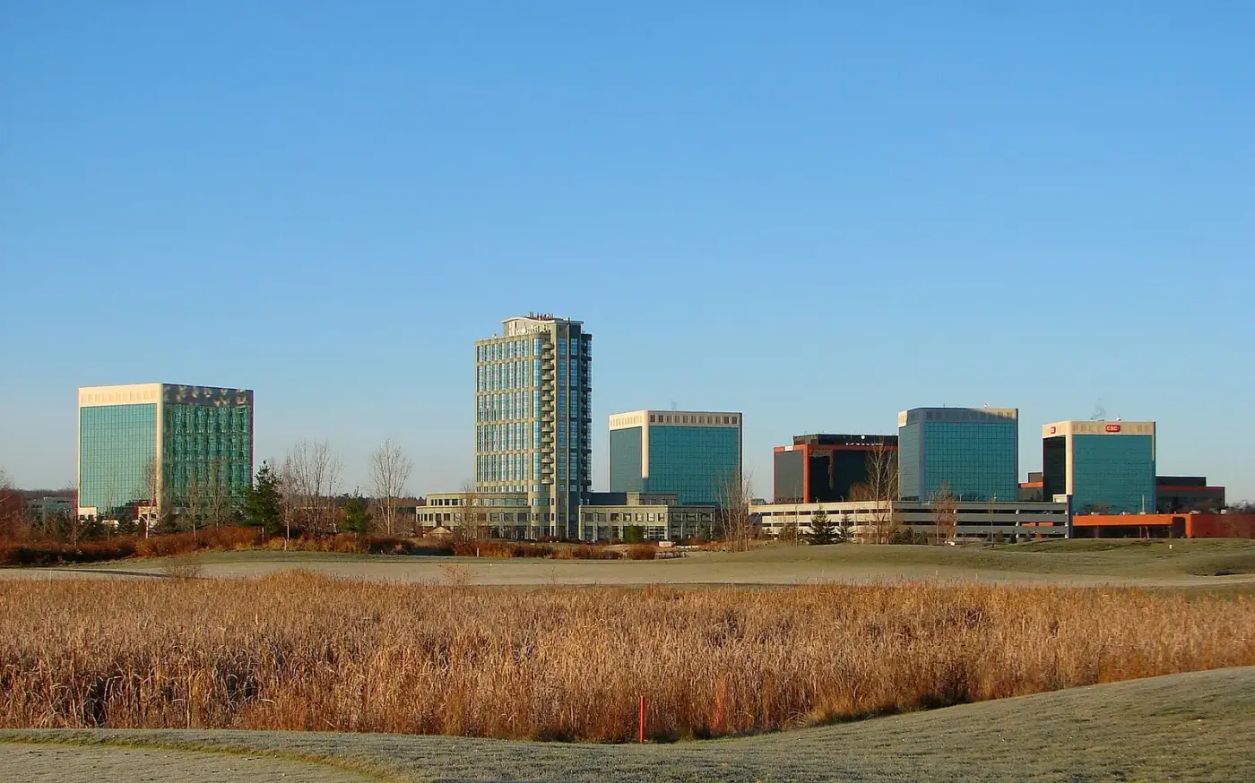 Kanata North office towers rising over marshland